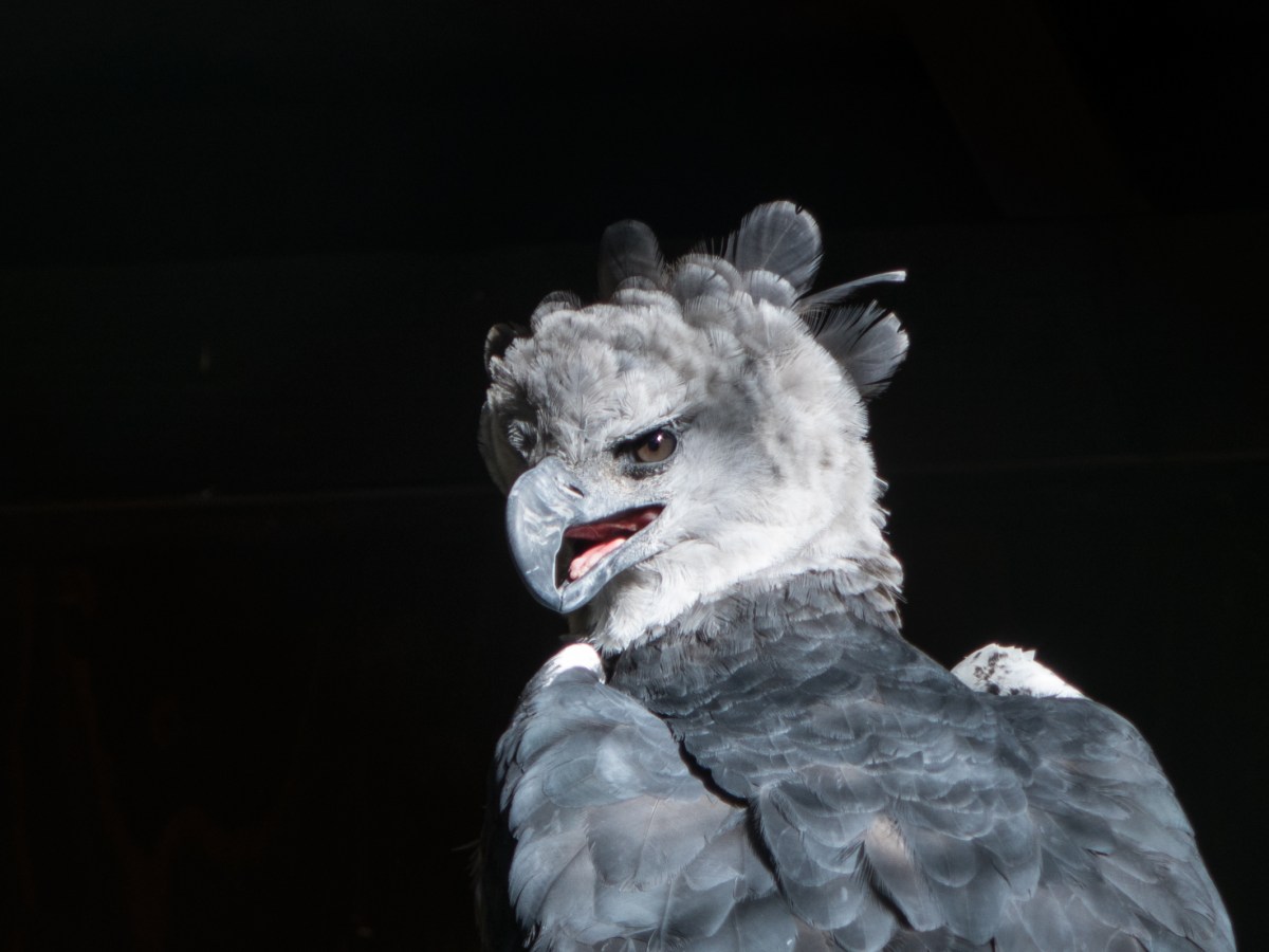 Weltvogelpark Walsrode